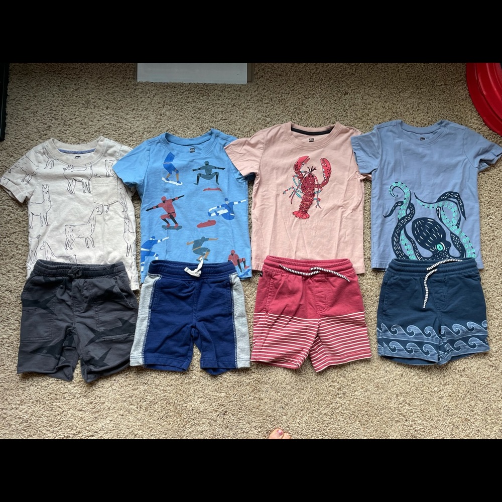 Tea Collection Size 4 Lot
